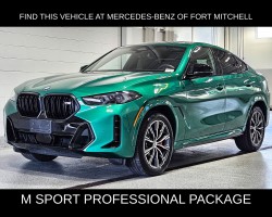 2025 Bmw X6